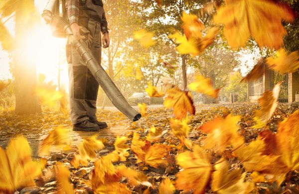 Cost of Leaf Blowing Service in North Canton