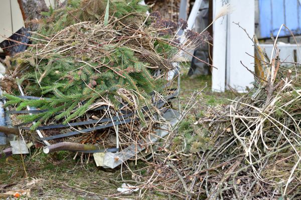 Cost of Yard Debris Removal in North Canton