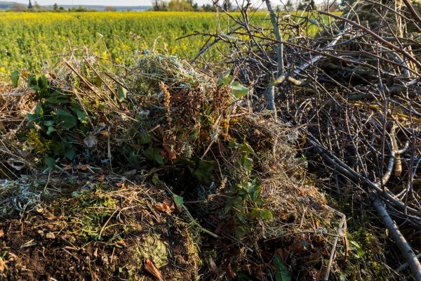 Cost of Brush Disposal in North Canton