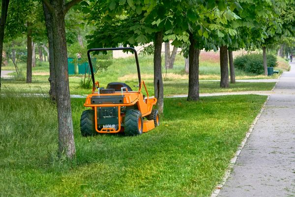 Cost of Landscaping Cleanup Service in North Canton