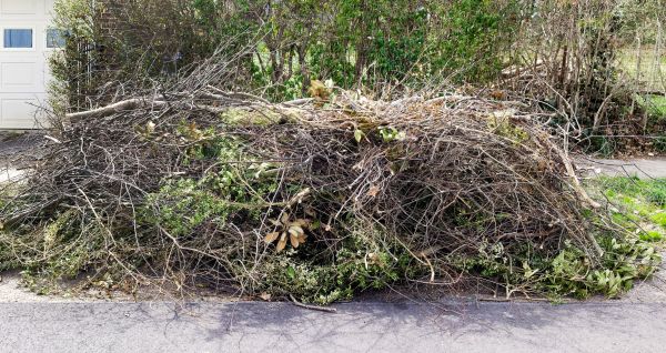 Cost of Tree Limb Cleanup in North Canton