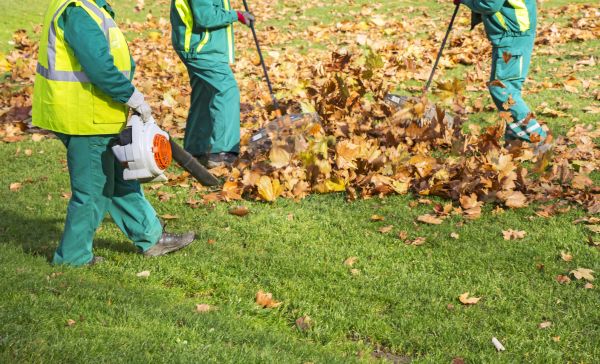 Cost of Leaf Maintenance in North Canton
