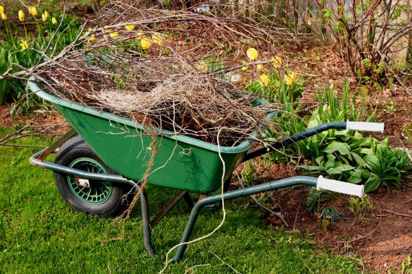 Cost of Lawn Waste Removal in North Canton