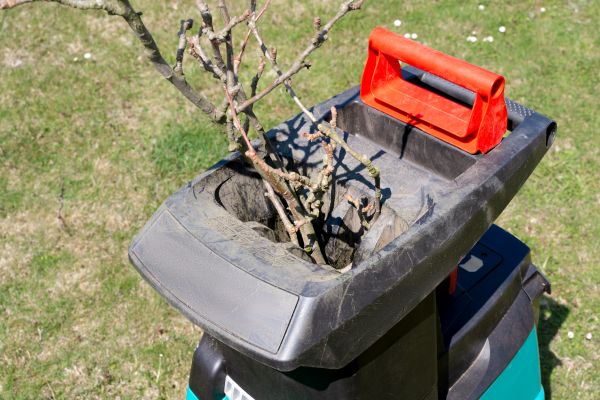 Cost of Brush Cleanup Service in North Canton