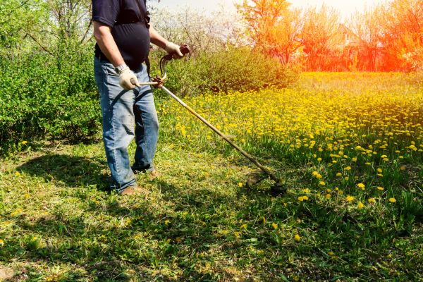Cost of Yard Clearing Service in North Canton