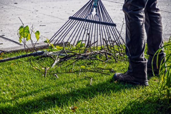 Cost of Yard Debris Cleanup in North Canton