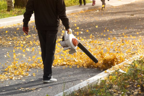 Cost of Commercial Leaf Removal in North Canton