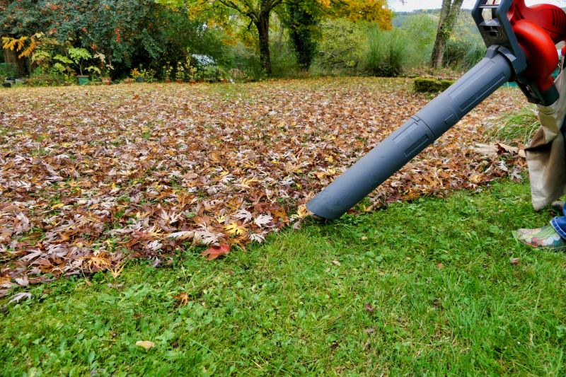 Automated Leaf Blower Use
