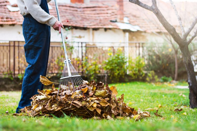 Raking and leaf removal